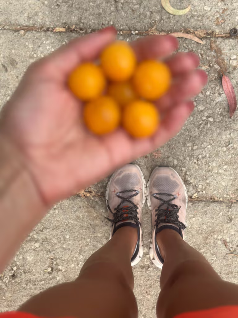 Monaco Private Tour - Nature’s  snacks growing along the paths
