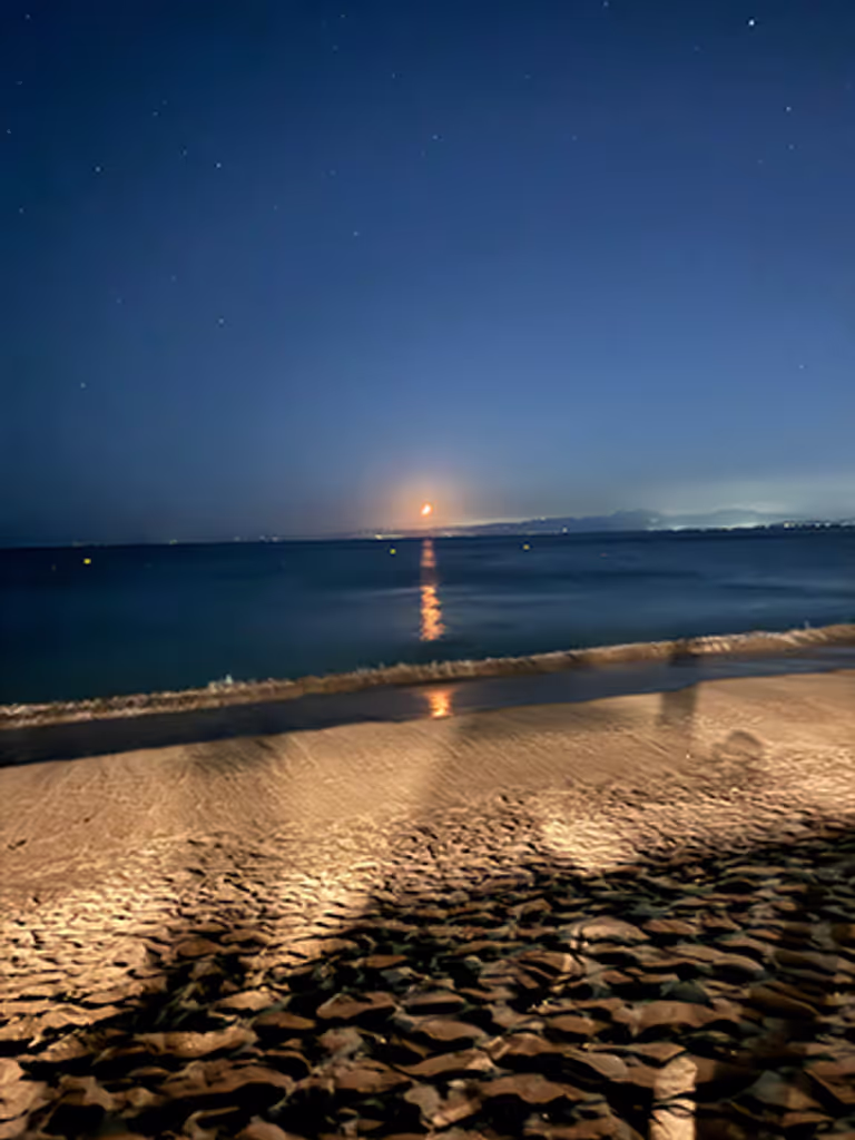 Kanagawa Private Tour - 