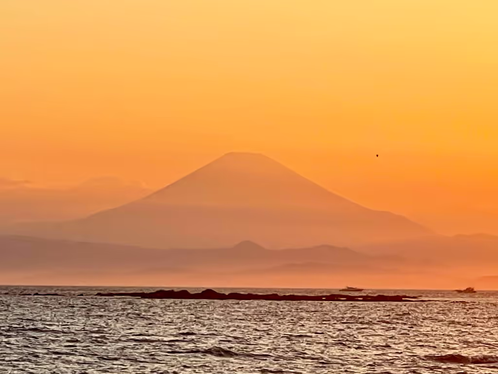 Kanagawa Private Tour - 