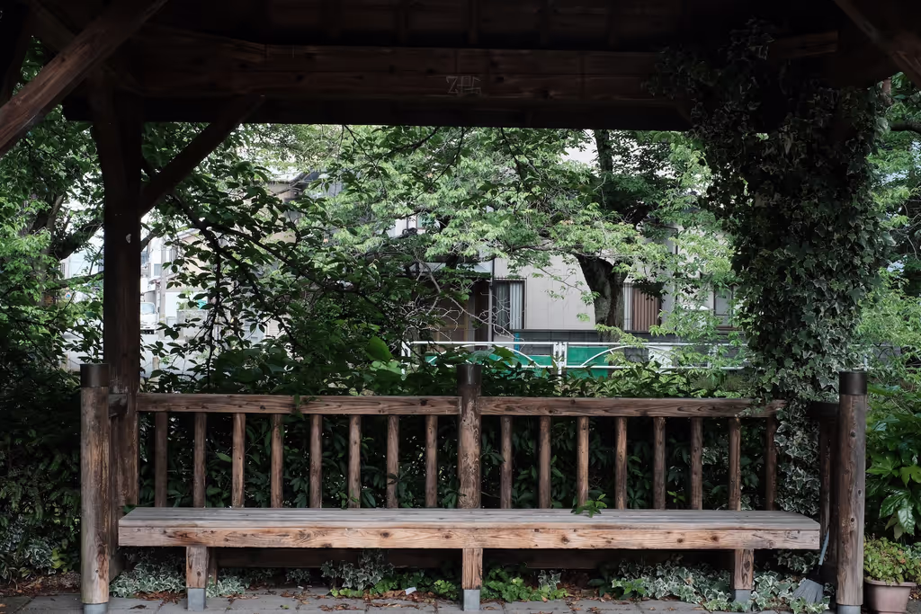 Toyama Private Tour - Along the Itachi river