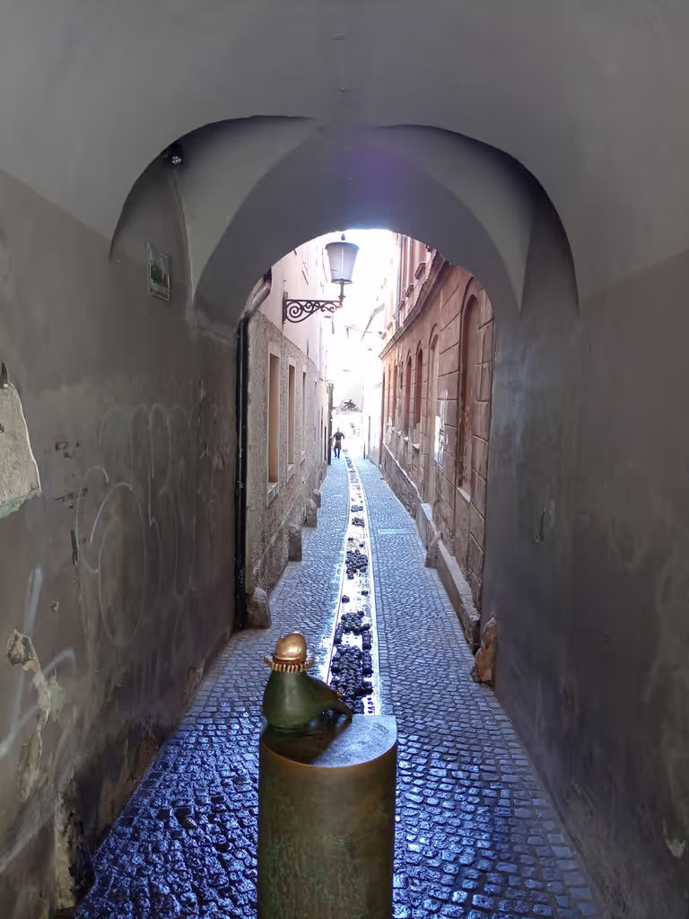 Ljubljana Private Tour - 