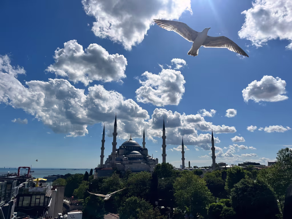 Istanbul Private Tour - 
