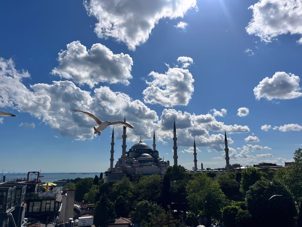 Istanbul Private Tour - 