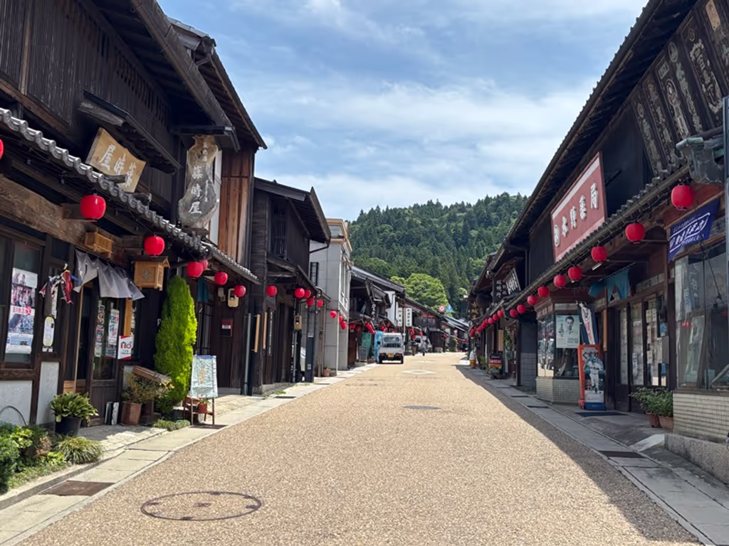 Gifu Private Tour - No over tourism rather almost quiet here