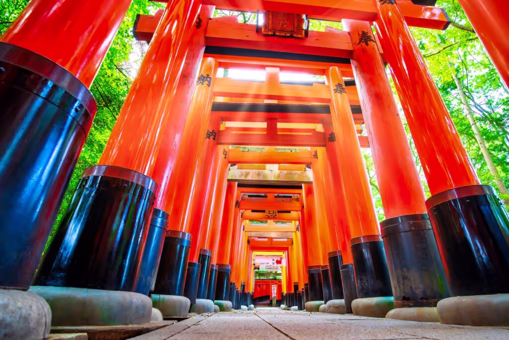 Kyoto Private Tour - Fushimiinari