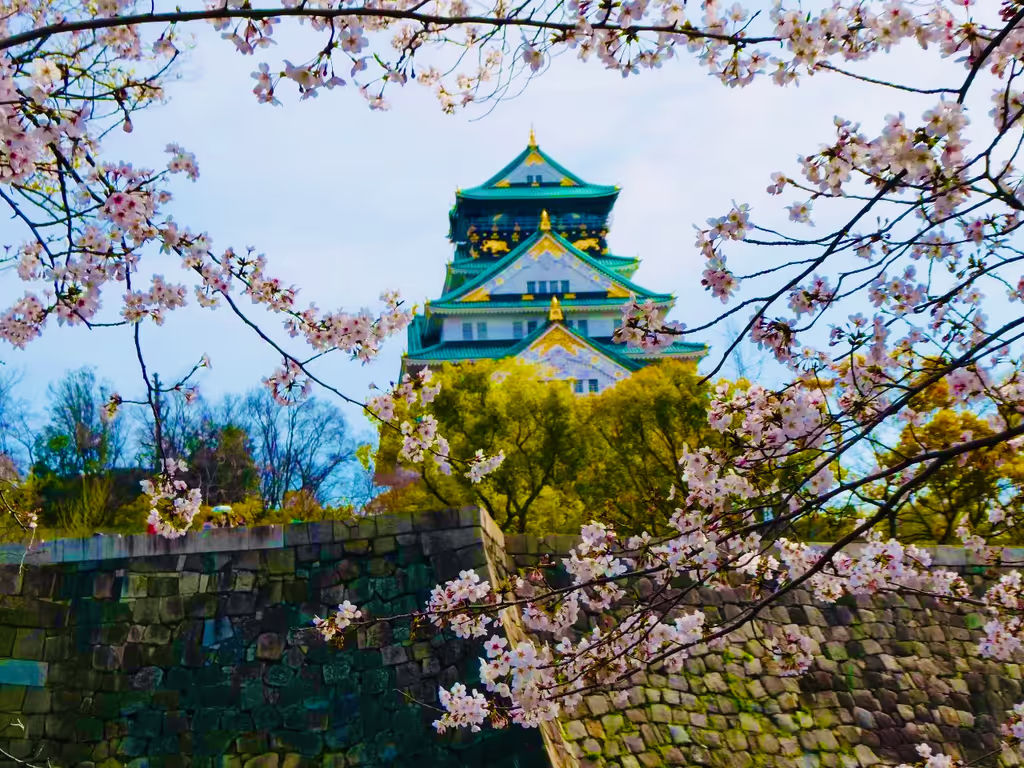 Osaka Private Tour - 