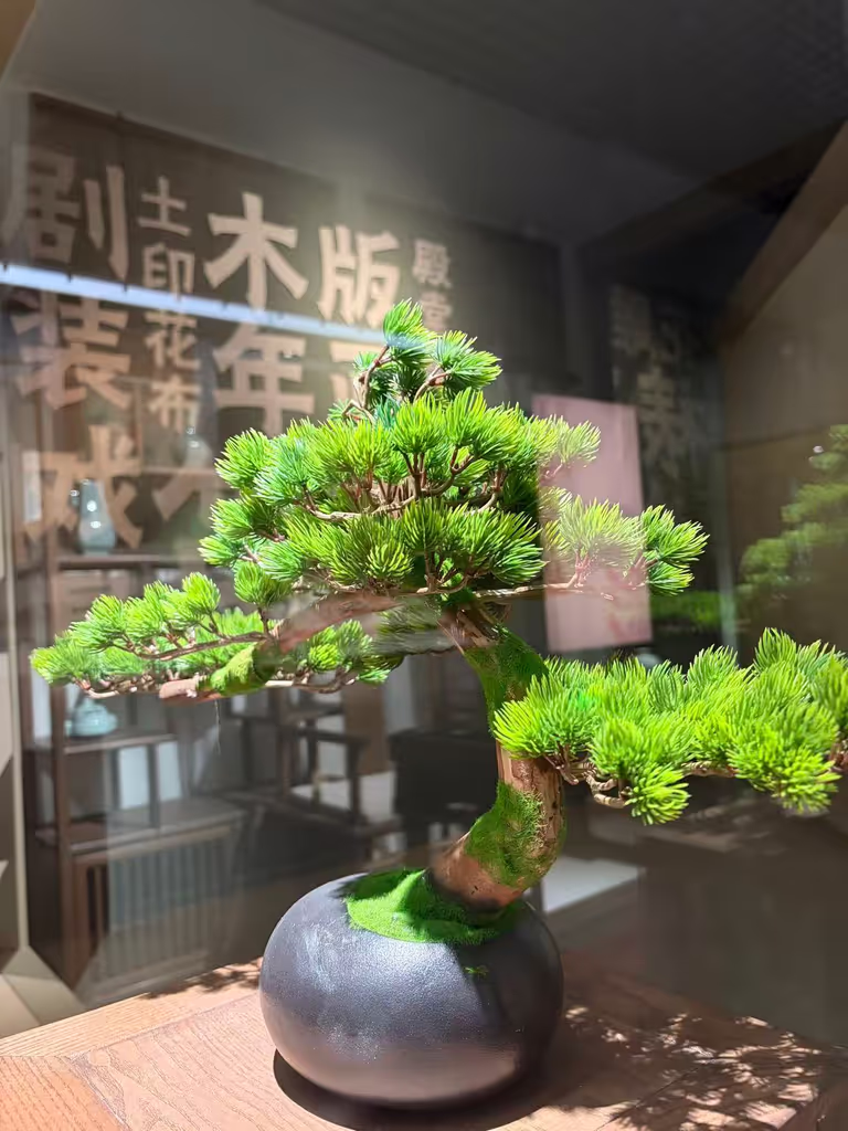 Hangzhou Private Tour - 