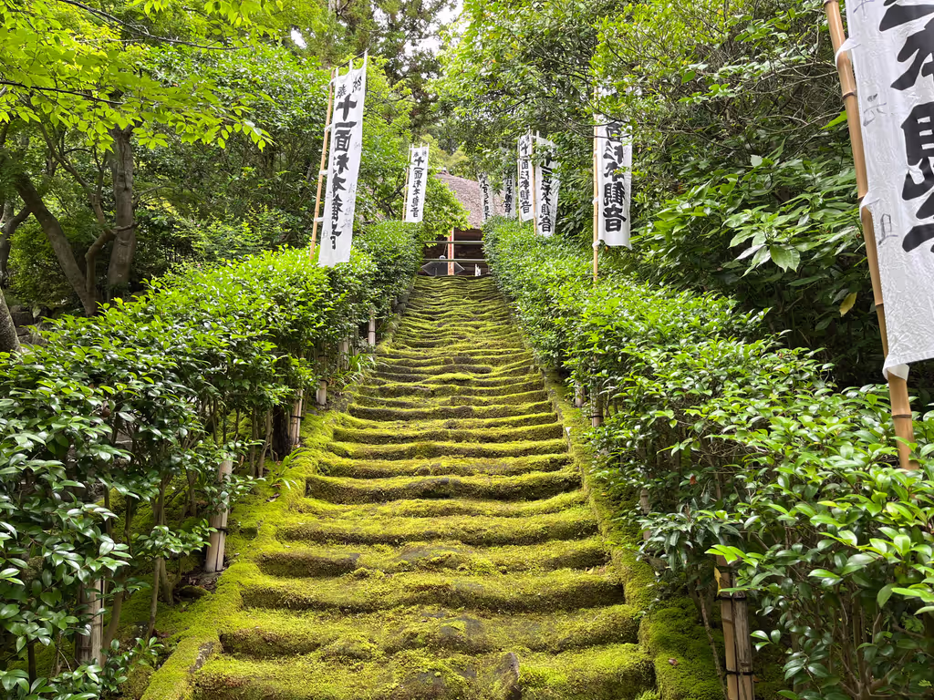 Kamakura Private Tour - Beautiful stone staircase covered with moss