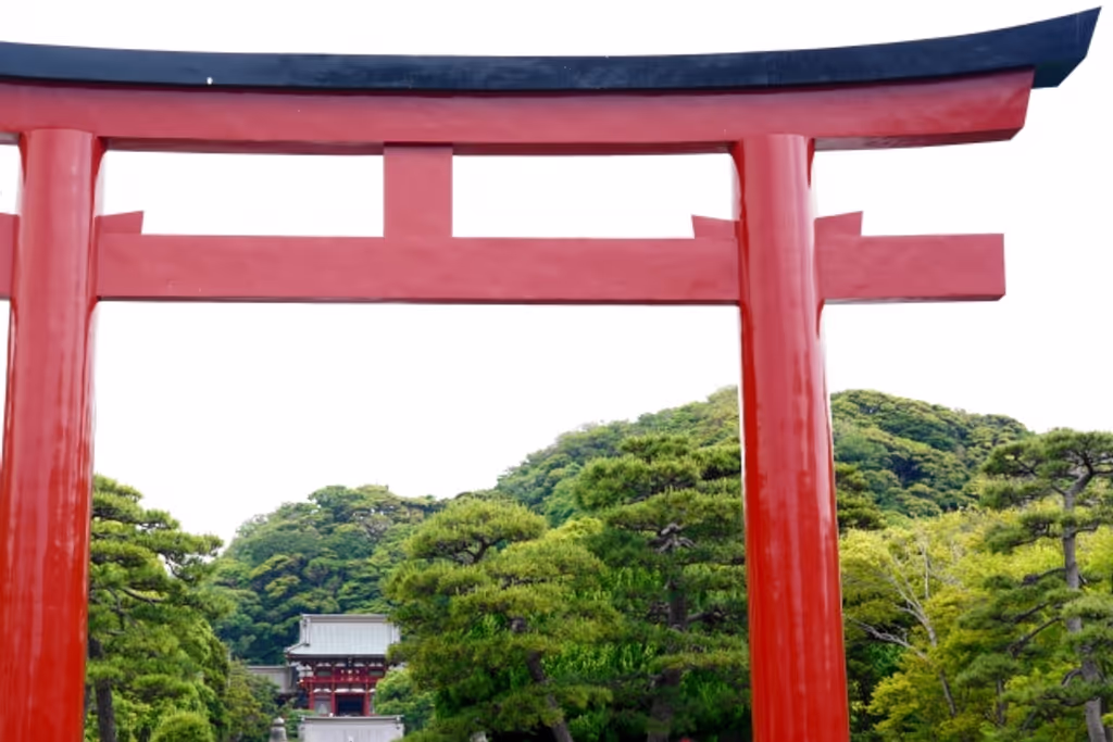 Kamakura Private Tour - The big Torii, the symbol of center of the city