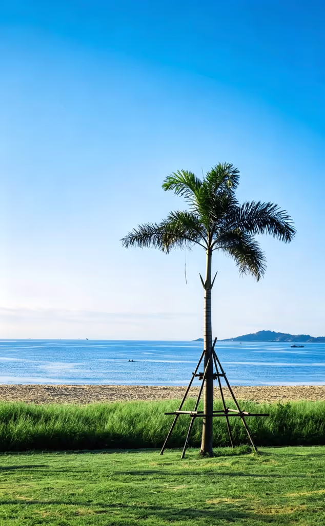Xiamen Private Tour - 