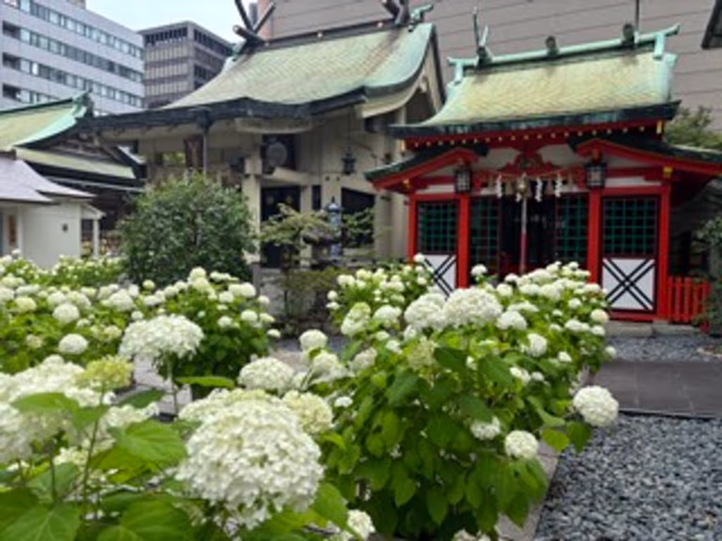 Osaka Private Tour - 