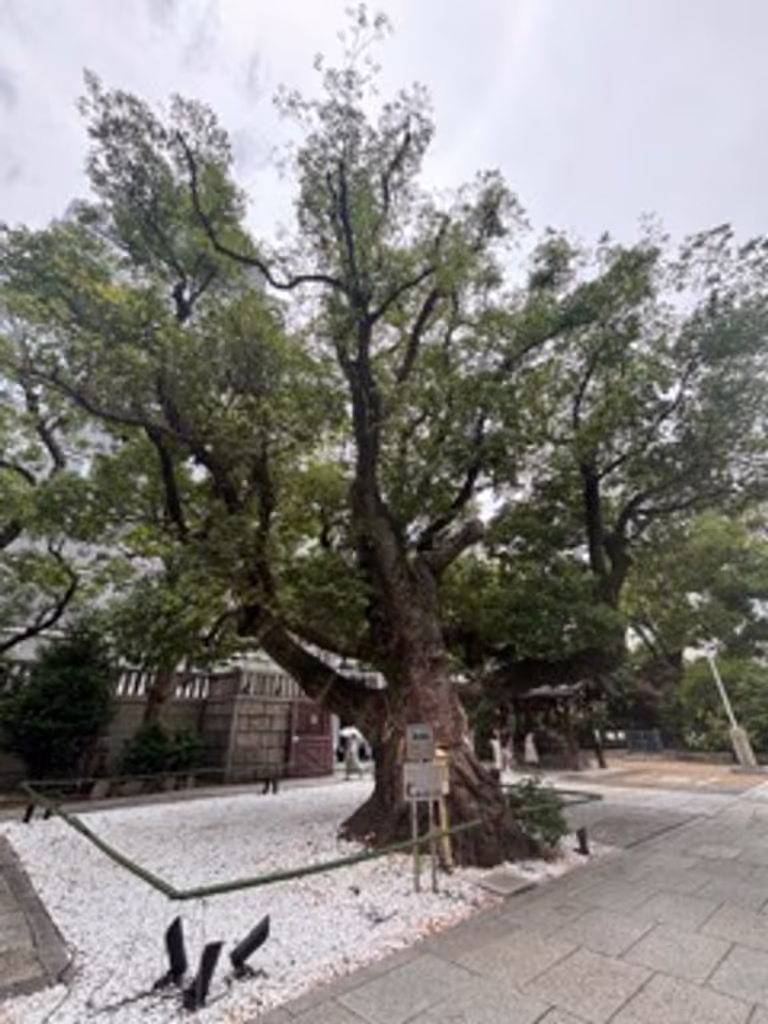 Osaka Private Tour - 