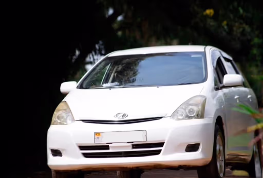 Kampala Private Tour - 