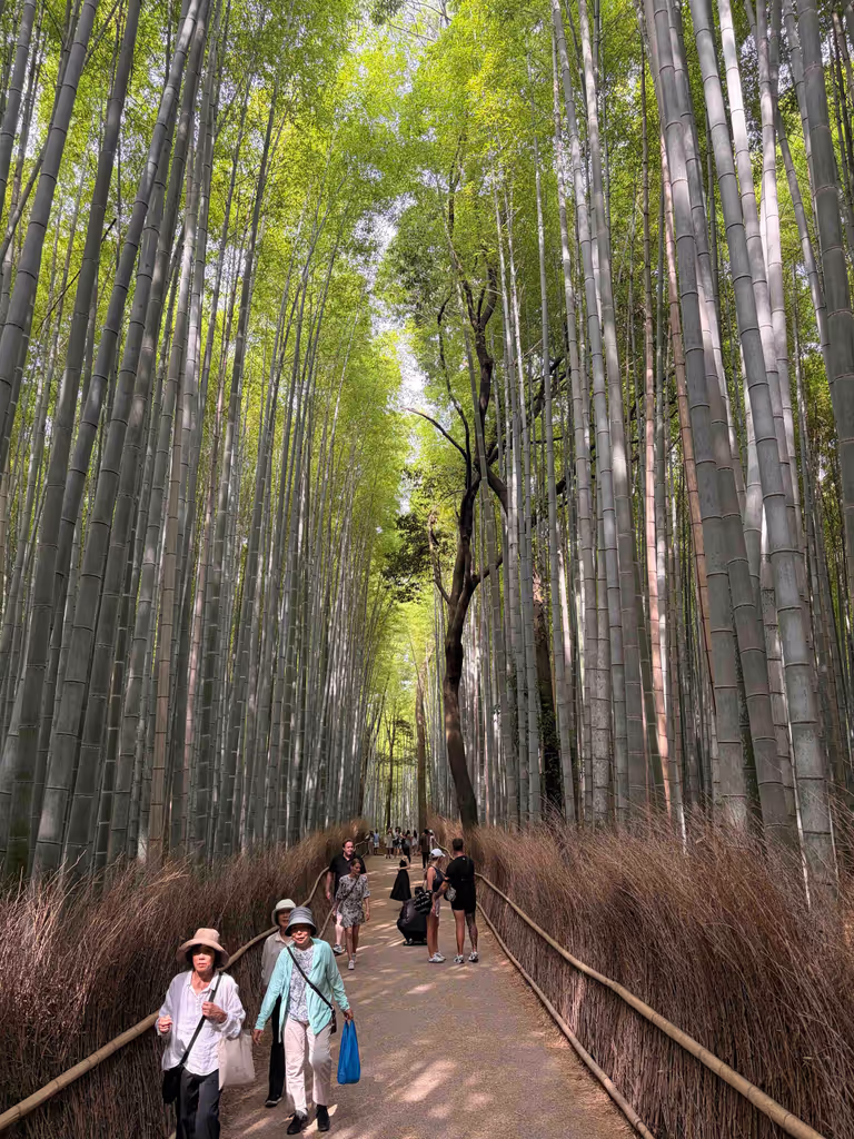 Kyoto Private Tour - 