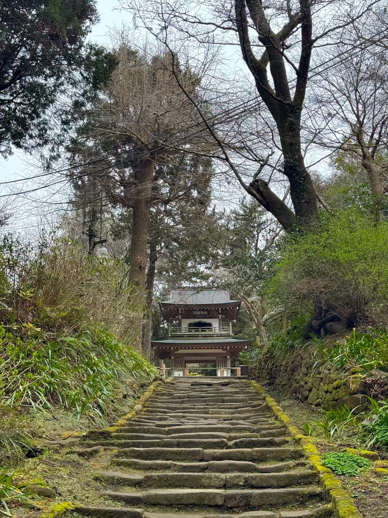Kamakura Private Tour - Jochiji