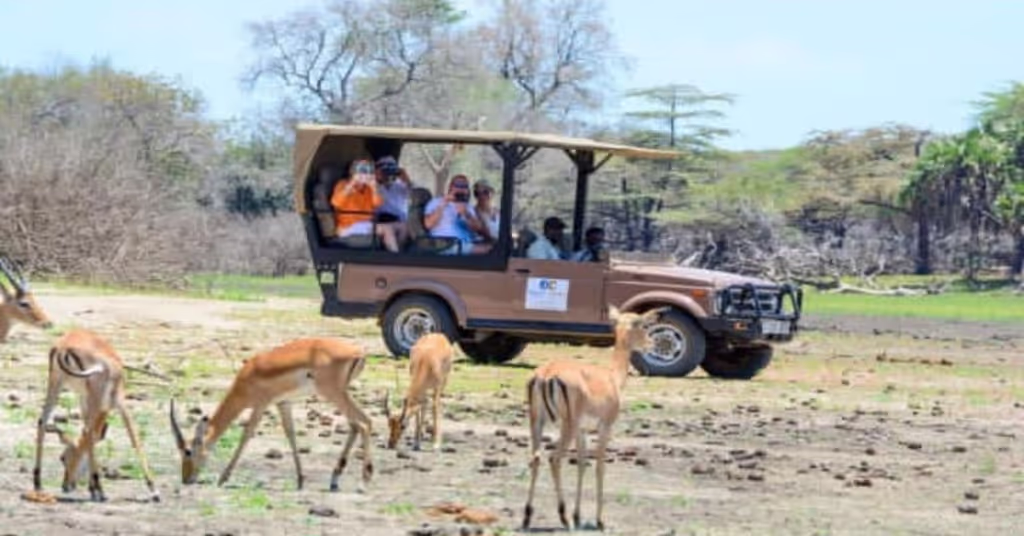 Zanzibar Private Tour - 