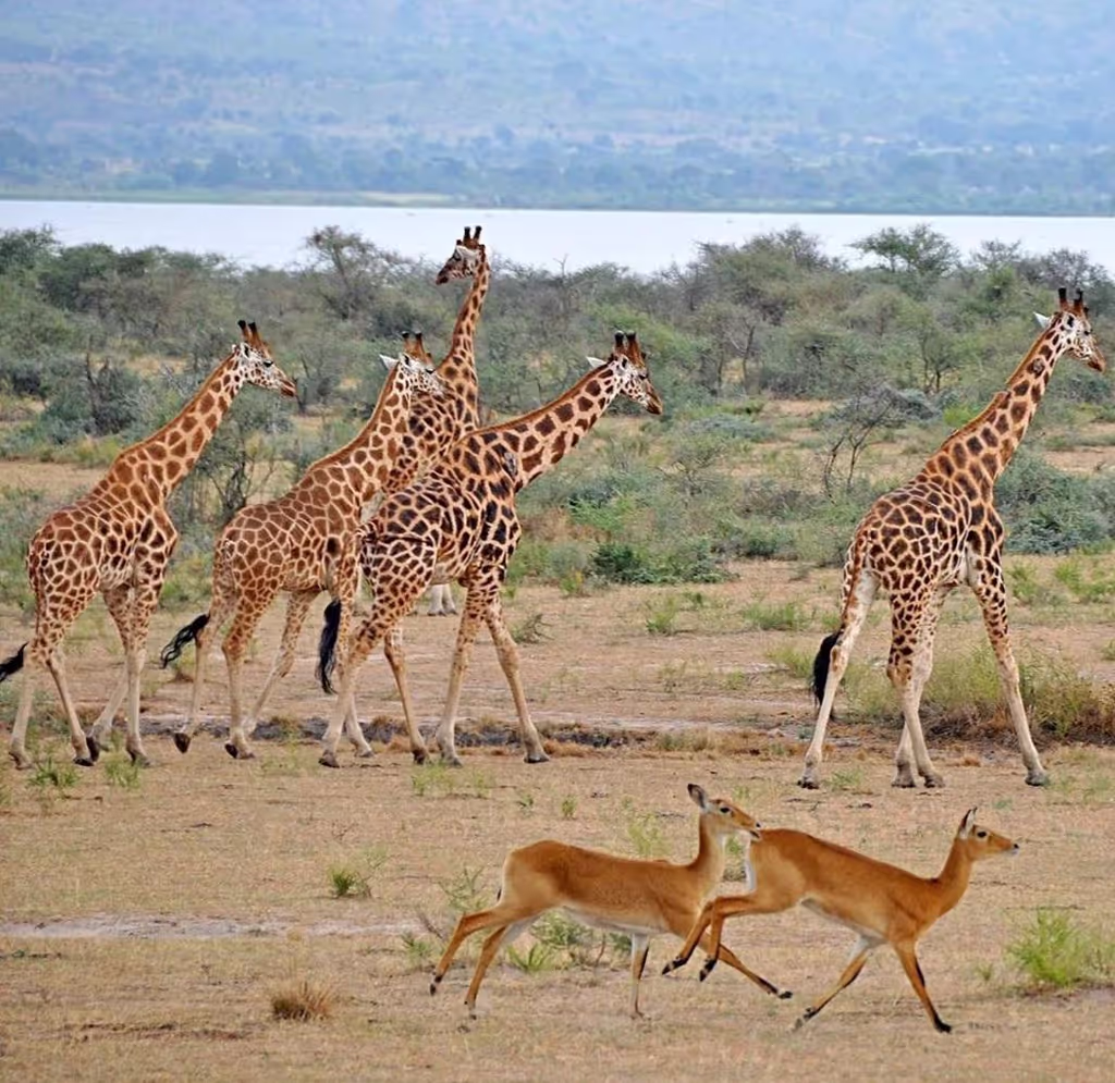 Zanzibar Private Tour - 