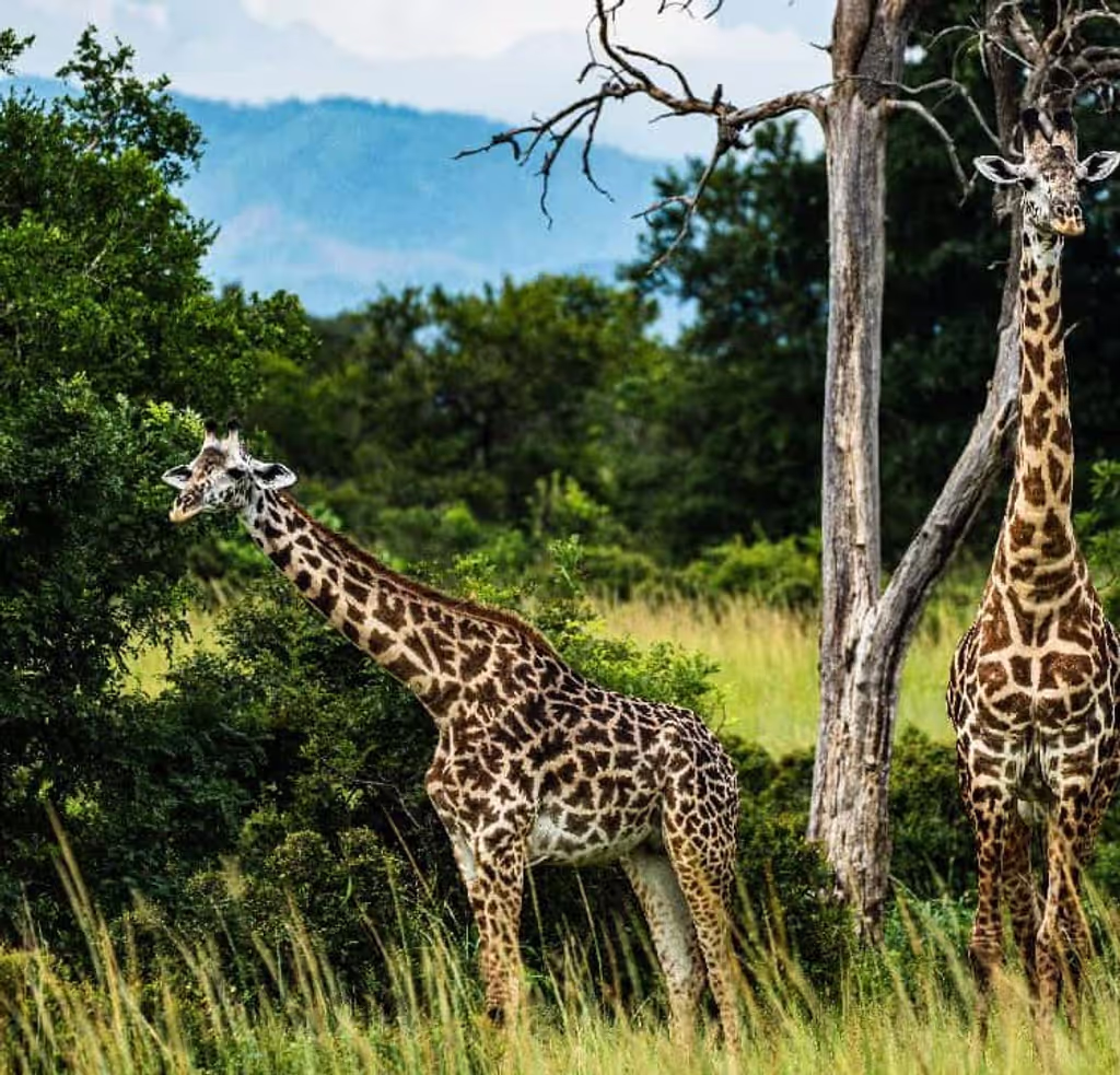 Zanzibar Private Tour - 