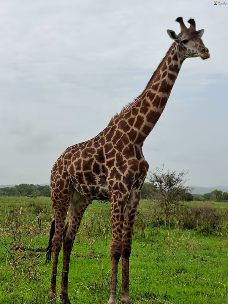 Zanzibar Private Tour - 