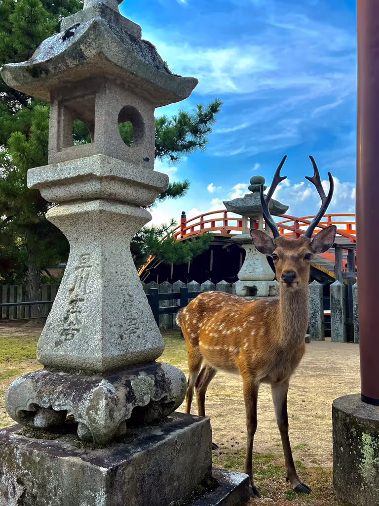 Hiroshima Private Tour - 