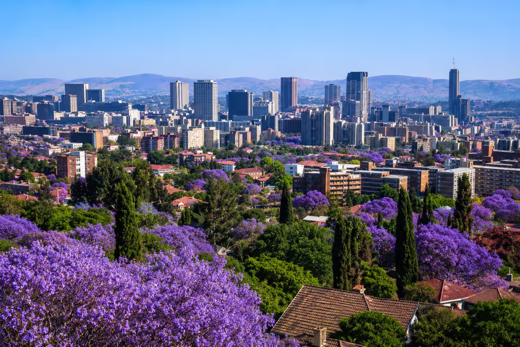 Pretoria Private Tour - Jacaranda's City