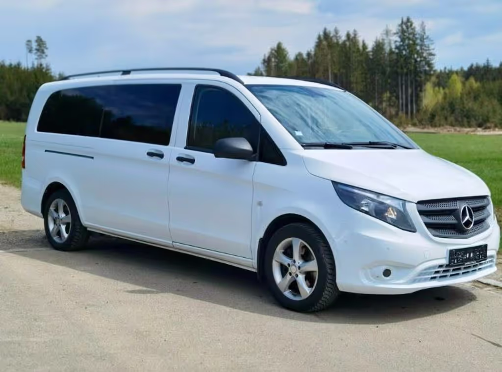 Prague Private Tour - Minivan