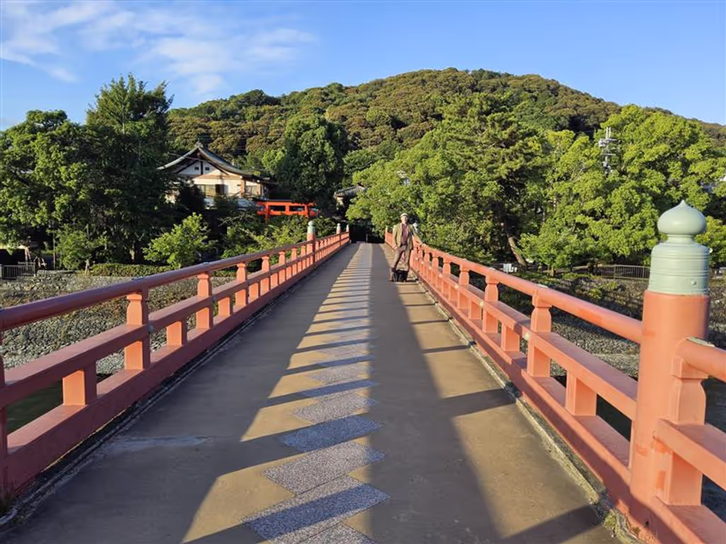 Kyoto Private Tour - The Asagiri Bridge