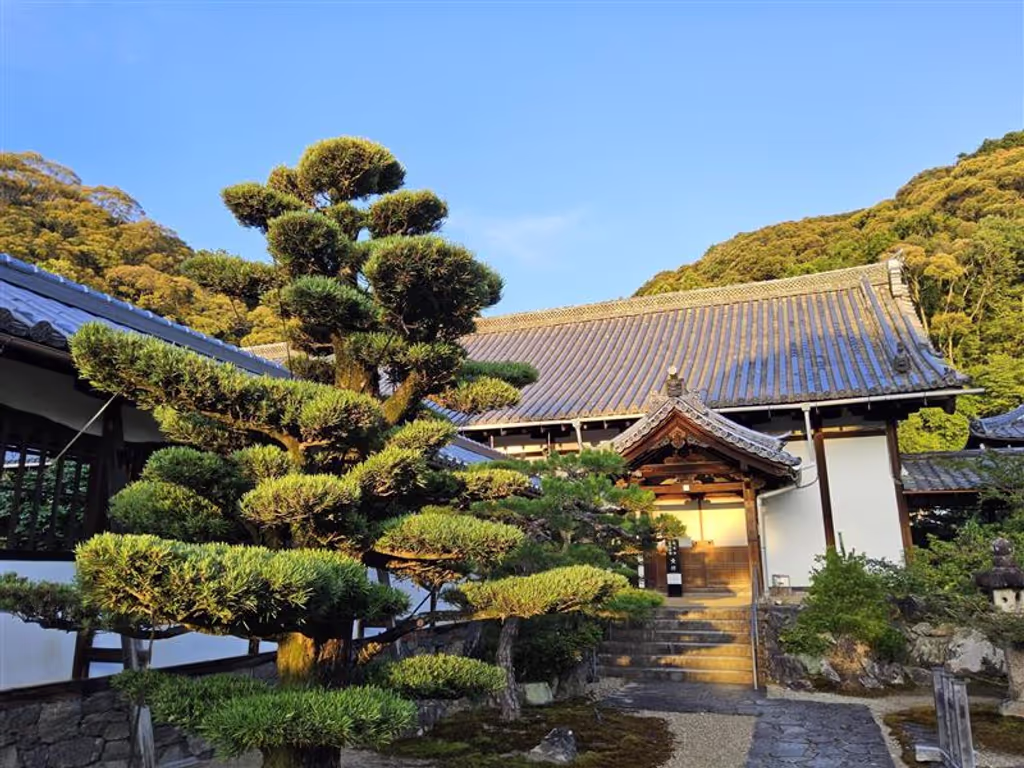 Kyoto Private Tour - Inside Koshoji Temple - Beautiful Bonsai Tree