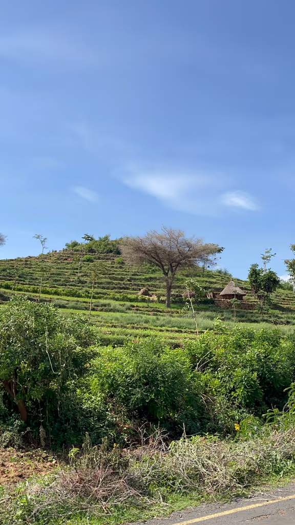 Jinka Private Tour - 