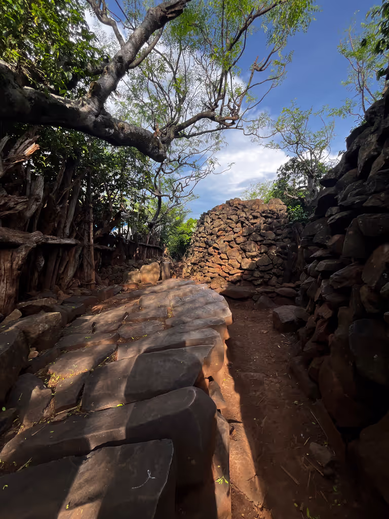 Jinka Private Tour - 