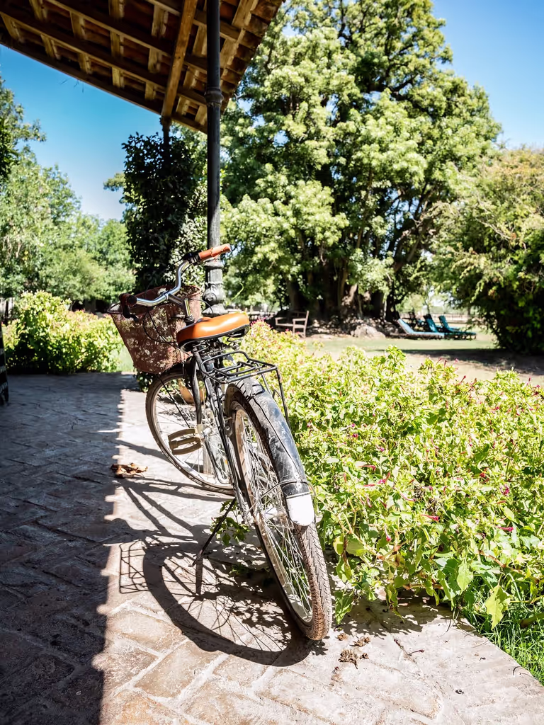 Buenos Aires Private Tour - 