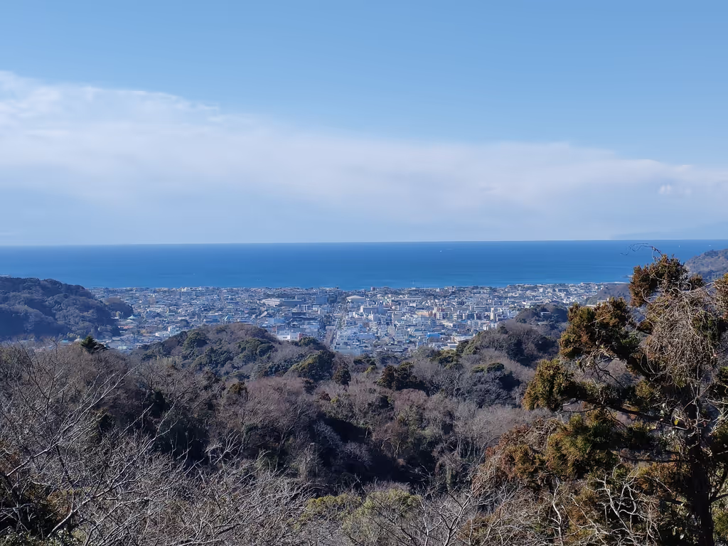 Tokyo Private Tour - Baie de Sagami
