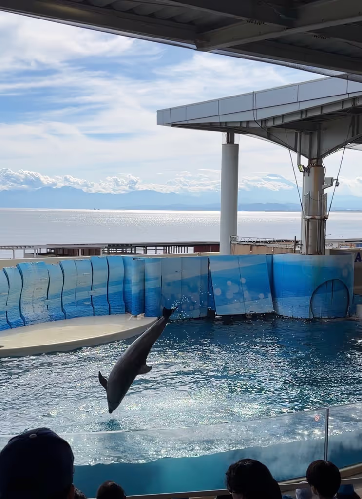 Kamakura Private Tour - Enoshima Aquarium