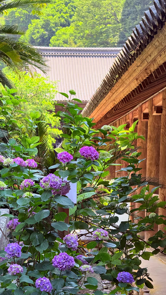 Osaka Private Tour - Hasedera