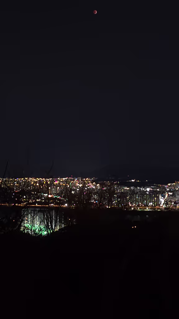 Seoul Private Tour - Red Moon