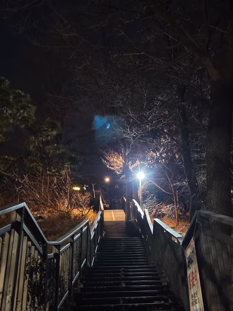 Seoul Private Tour - late night hiking