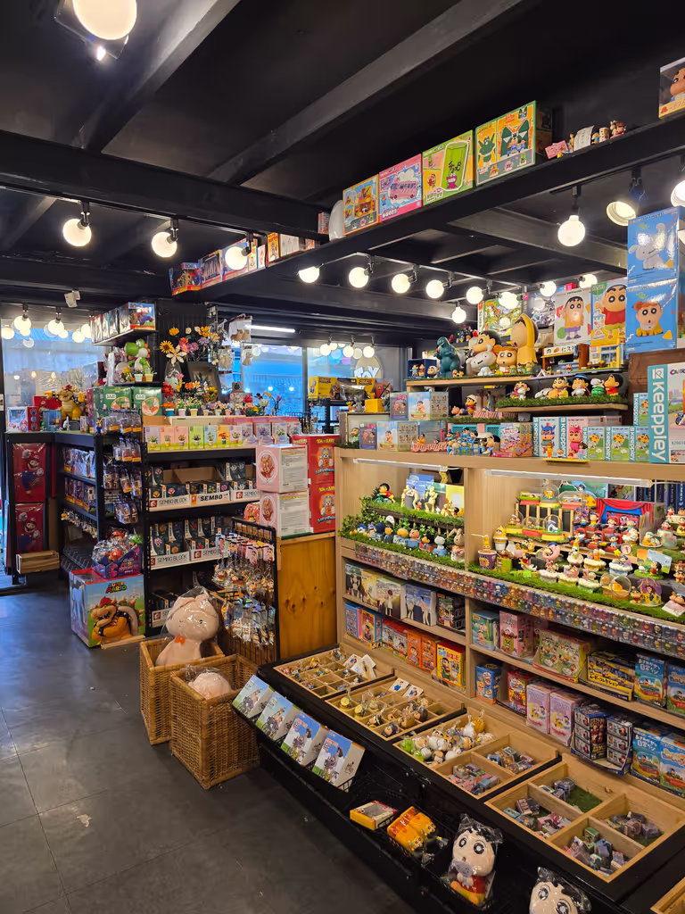 Seoul Private Tour - Toy shop