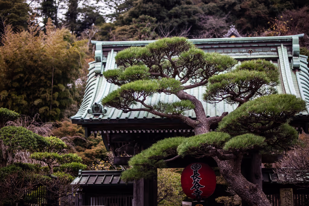 Kamakura Private Tour - 