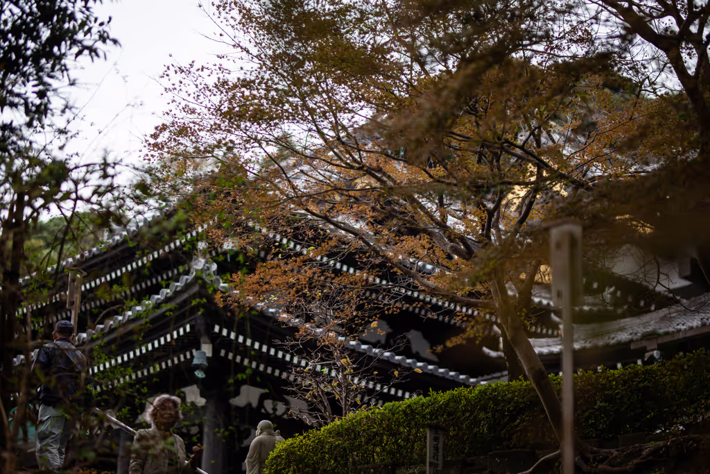 Kamakura Private Tour - 