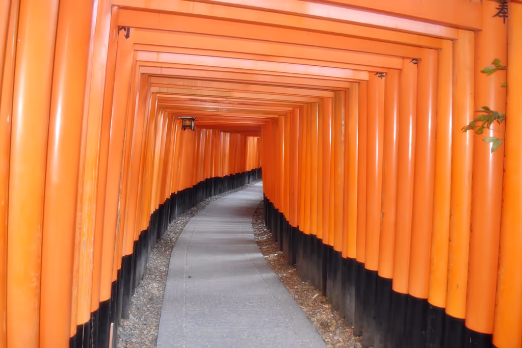 Kyoto Private Tour - 