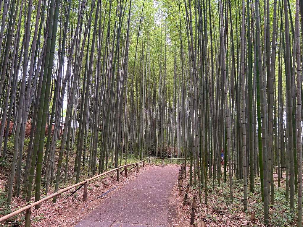 Kyoto Private Tour - 