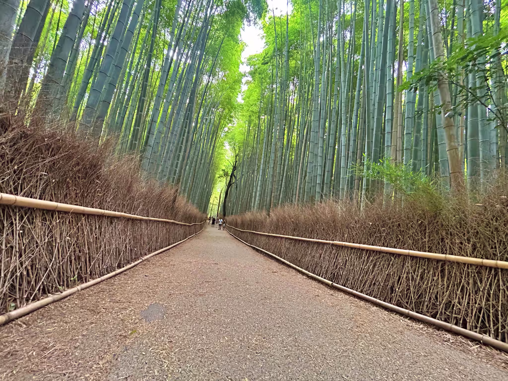 Kyoto Private Tour - 