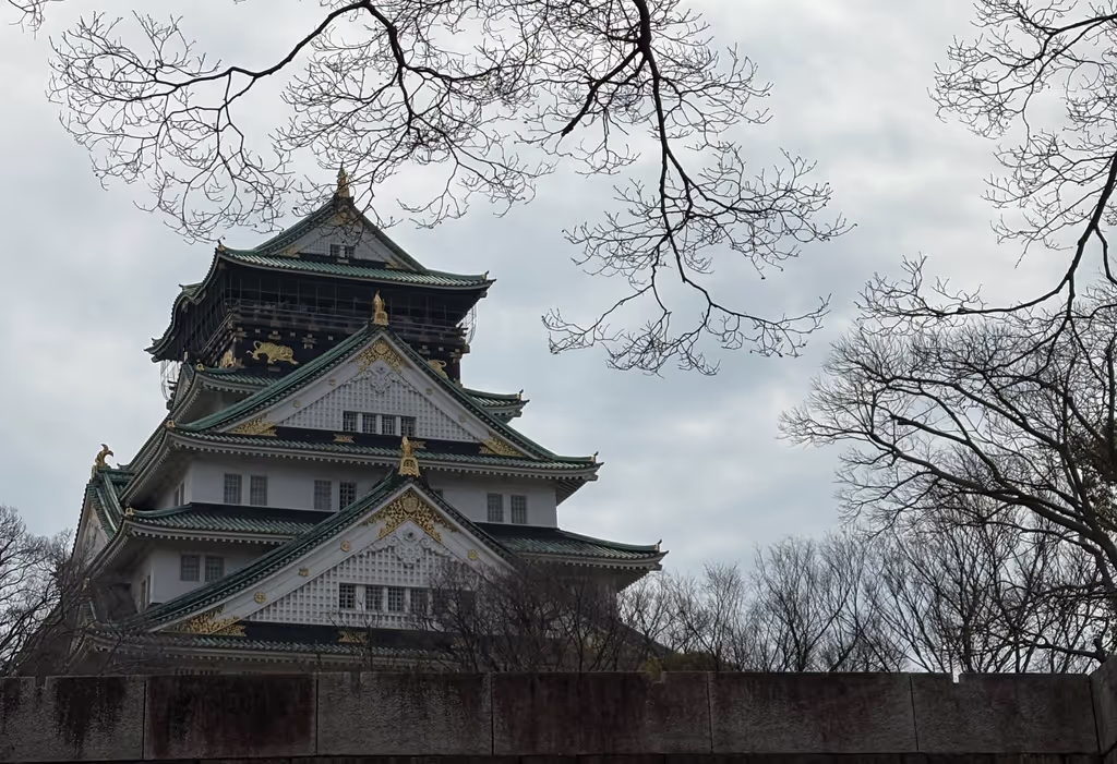 Osaka Private Tour - 