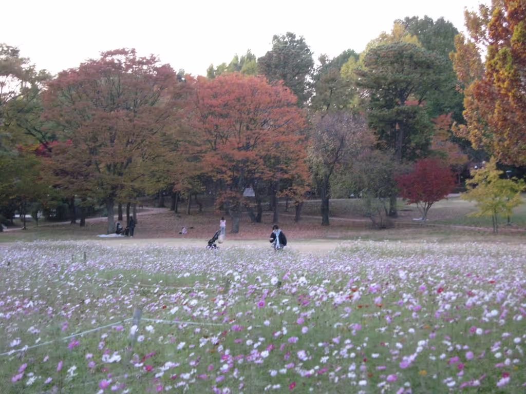 Seoul Private Tour - children's grand park in fall