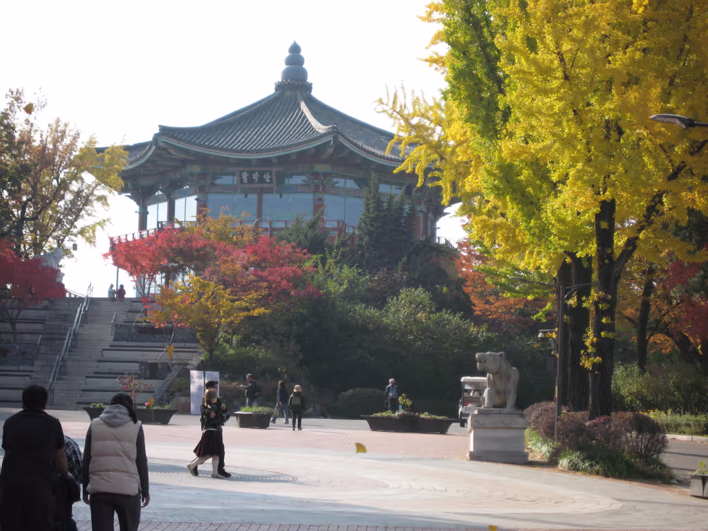 Seoul Private Tour - children's grand park in fall
