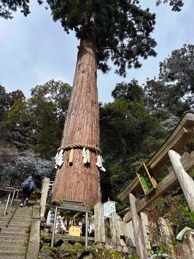 Kyoto Private Tour - 