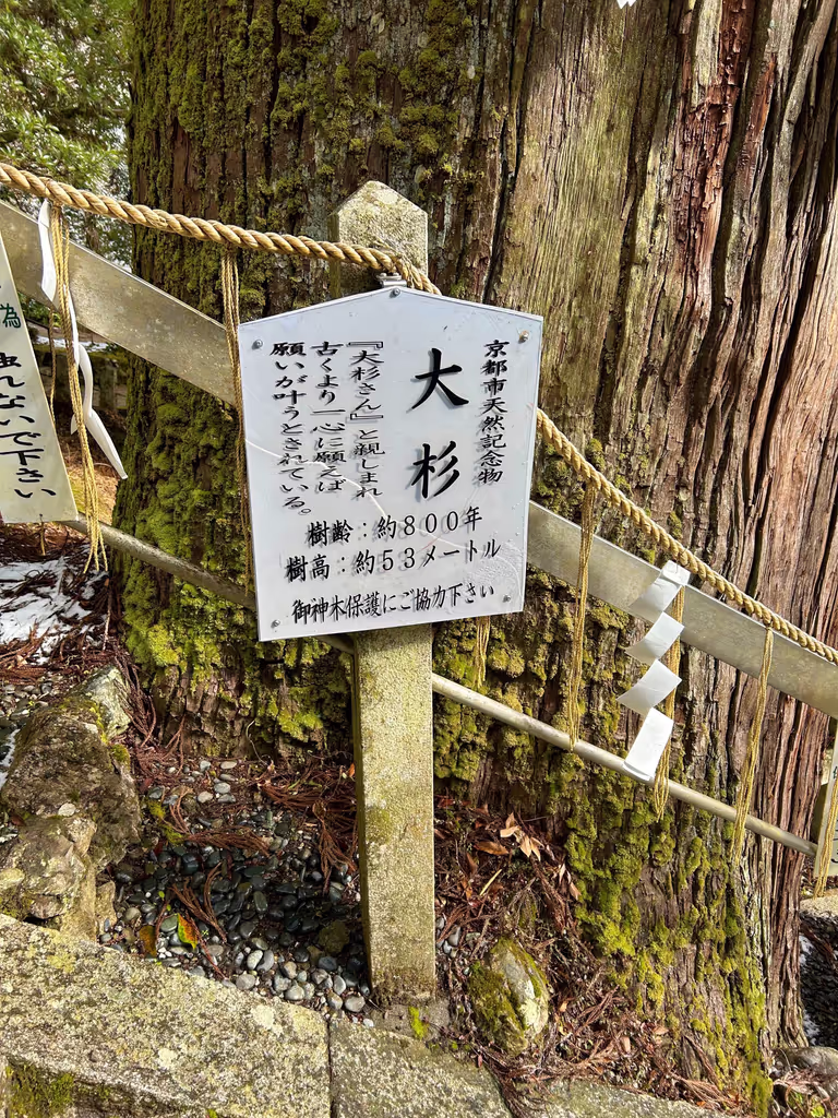 Kyoto Private Tour - 