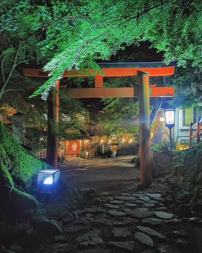 Kyoto Private Tour - 
