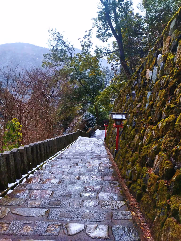 Kyoto Private Tour - 