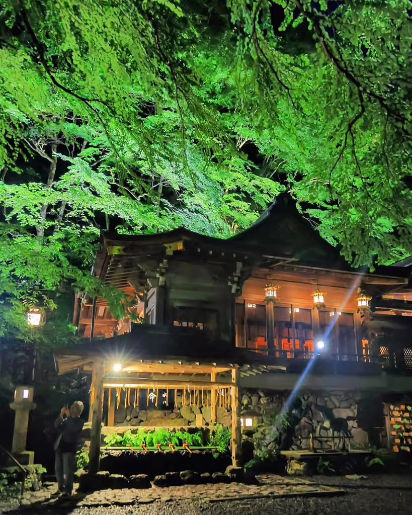 Kyoto Private Tour - 